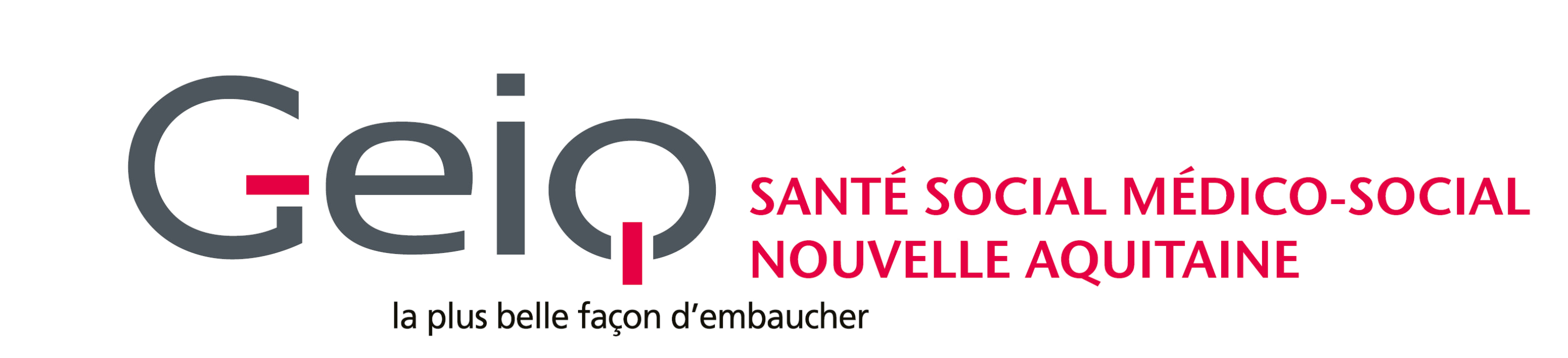 Logo Geiq 2SMS Site